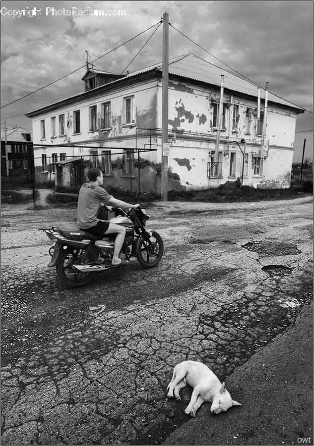 People, Person, Human, Motor, Motorcycle, Vehicle, Moped
