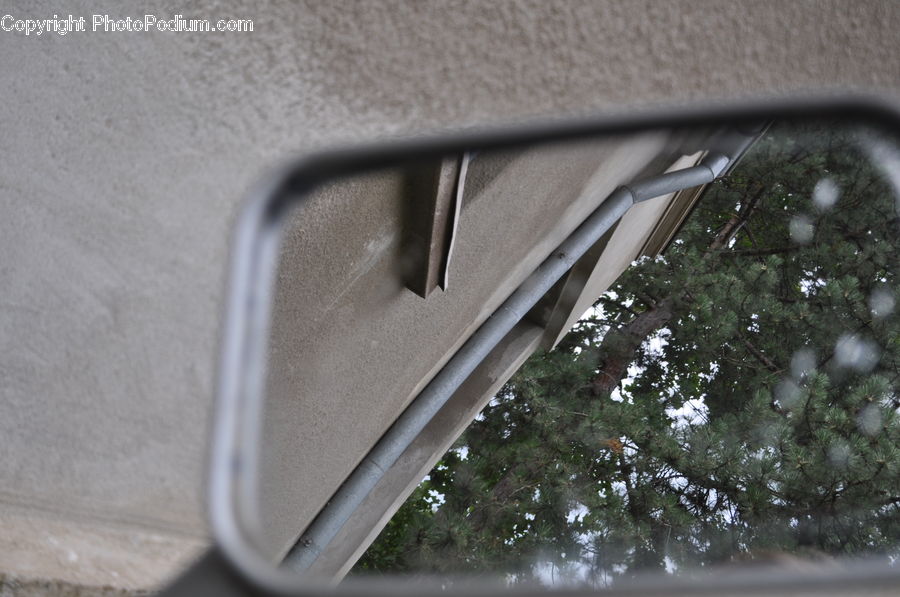 Car Mirror, Mirror, Conifer, Fir, Pine, Plant, Spruce