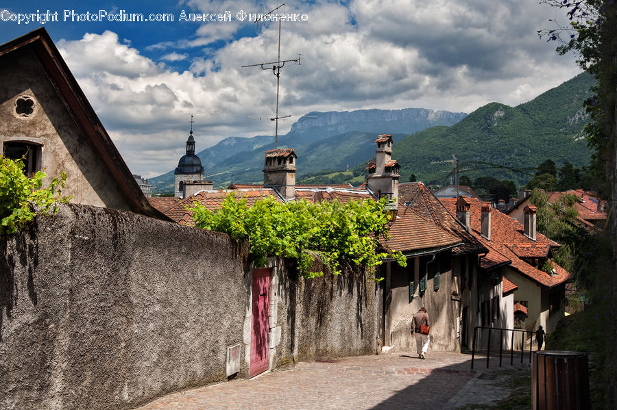 Architecture, Housing, Monastery, Building, Cottage, Ivy, Plant