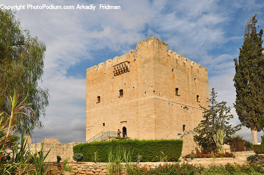 Architecture, Castle, Fort, Plant, Tree, Bush, Vegetation