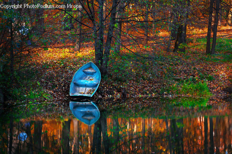 Boat, Dinghy, Plant, Tree, Chair, Furniture, Outdoors