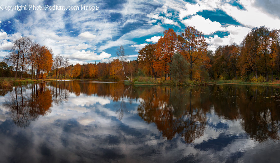 Lake, Outdoors, Water, Nature, Landscape, Scenery, Conifer