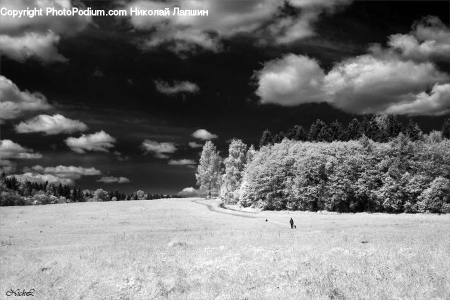Cloud, Cumulus, Sky, Smoke, Azure Sky, Outdoors, Bush