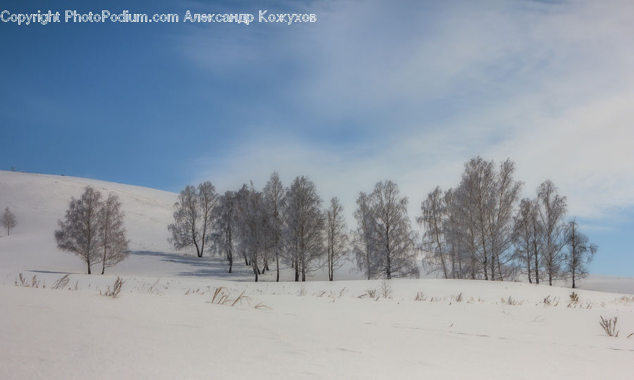 Landscape, Nature, Scenery, Outdoors, Plateau, Field, Grass