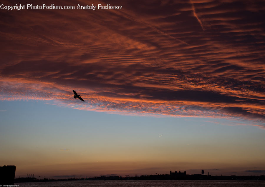 Azure Sky, Cloud, Outdoors, Sky, Dawn, Dusk, Sunrise
