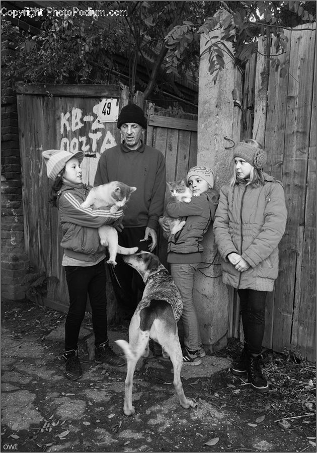 People, Person, Human, Animal, Canine, Dog, Mammal