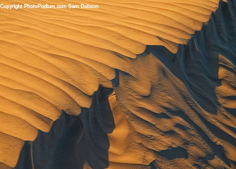 Desert, Outdoors, Sand, Soil, Dune, Hardwood, Wood