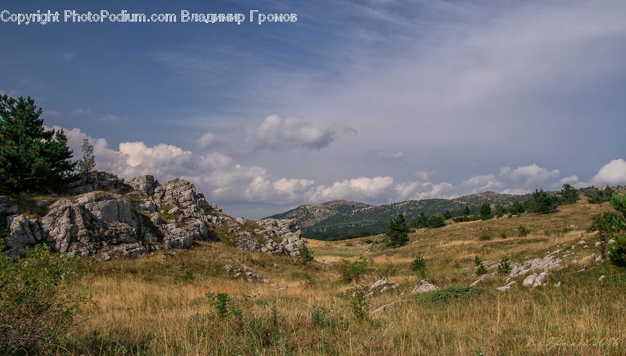 Field, Grass, Grassland, Land, Outdoors, Landscape, Nature