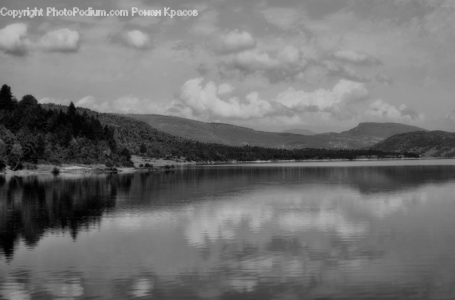 Forest, Jungle, Rainforest, Vegetation, Water, Alps, Crest