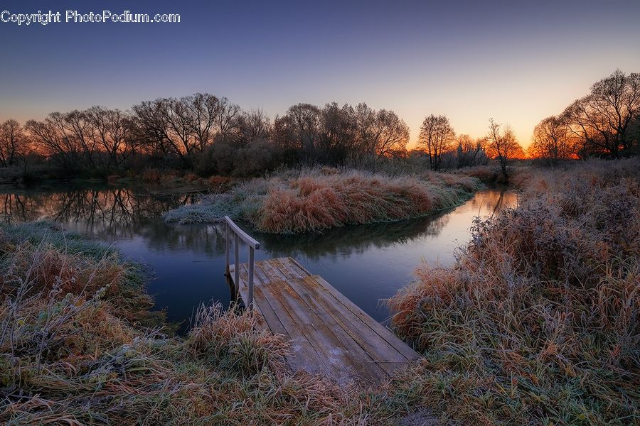 Boardwalk, Deck, Path, Sidewalk, Walkway, Land, Marsh