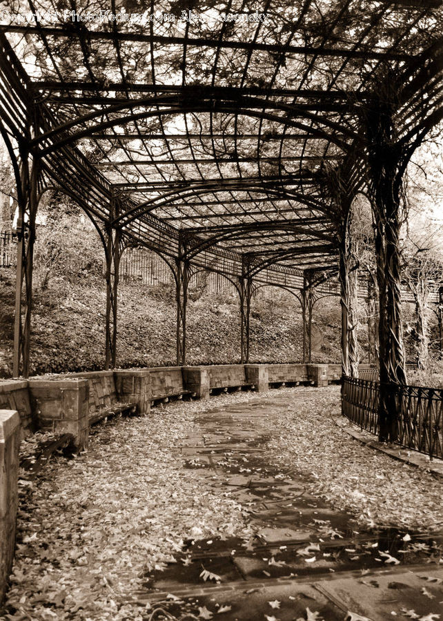 Patio, Pergola, Porch, Ruins