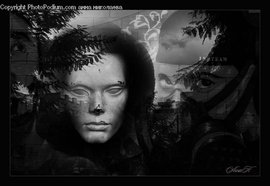 People, Person, Human, Portrait, Selfie, Head, Conifer
