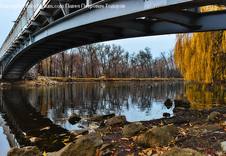 Arch, Arch Bridge, Bridge, Outdoors, River, Water, Landscape