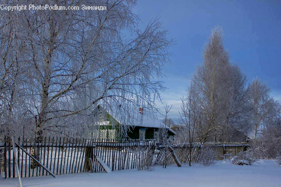 Building, Cottage, Housing, Cabin, Hut, Rural, Shack