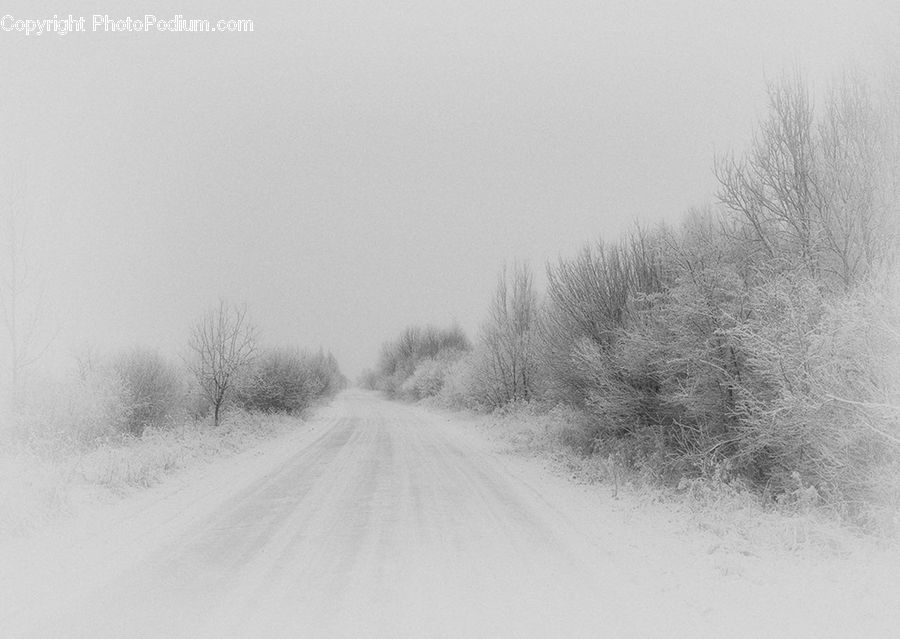 Dirt Road, Gravel, Road