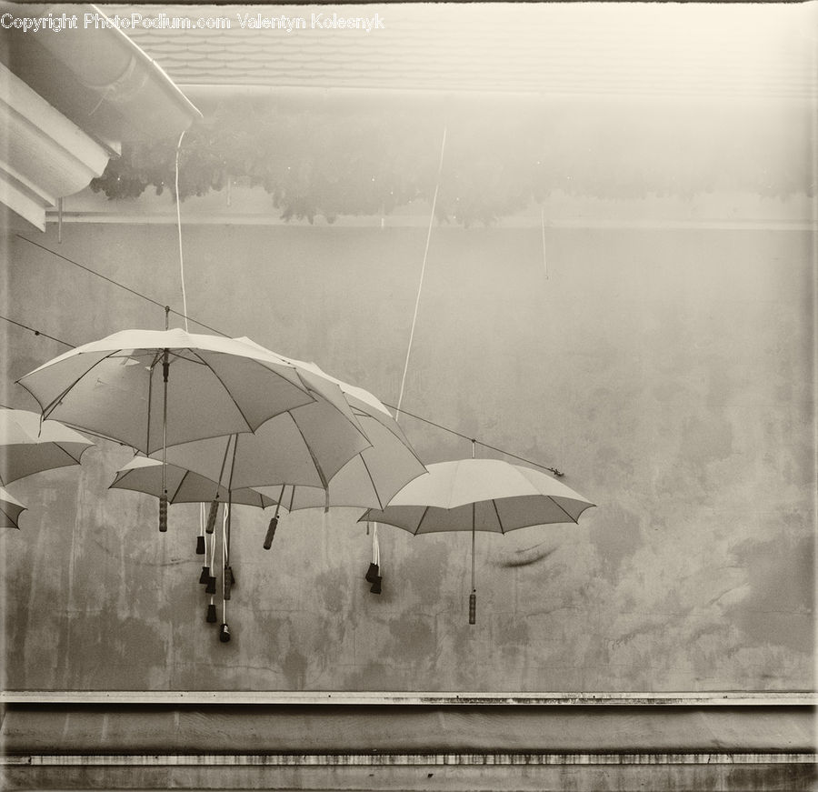 Umbrella