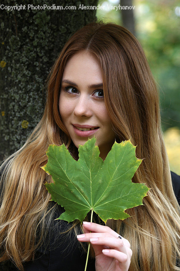 People, Person, Human, Leaf, Plant, Female, Girl