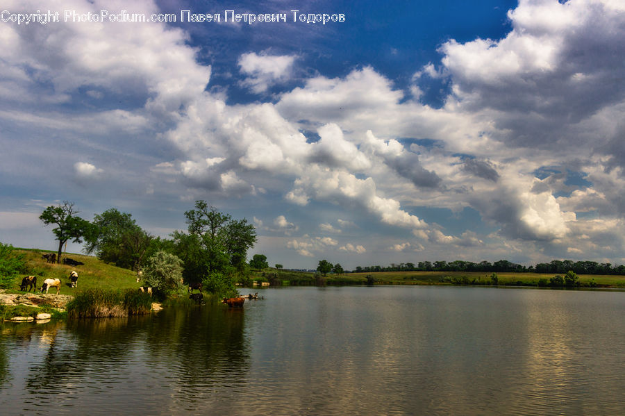Cloud, Cumulus, Sky, Azure Sky, Outdoors, Countryside, Landscape