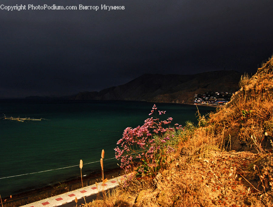 Coast, Outdoors, Sea, Water, Boardwalk, Deck, Path