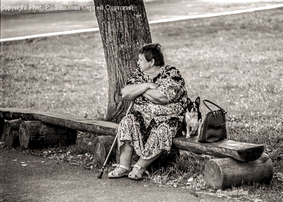 People, Person, Human, Chair, Furniture, Bench, Bunker