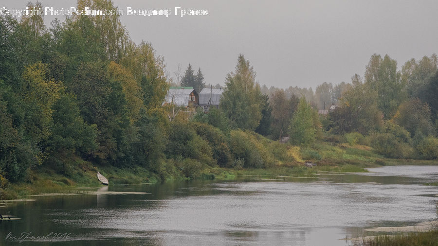 Canal, Outdoors, River, Water, Forest, Vegetation, Conifer