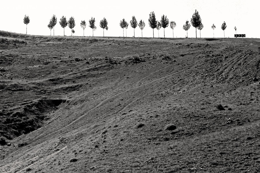 Outdoors, Sand, Soil, Ground, Countryside, Field