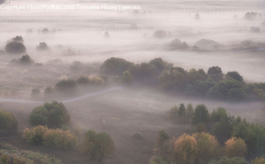 Fog, Mist, Outdoors, Dawn, Dusk, Sky, Sunrise