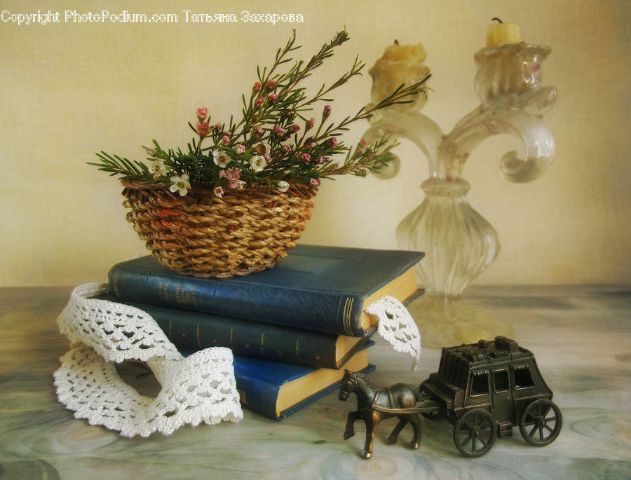 Plant, Potted Plant, Furniture, Dish, Food, Plate, Pot