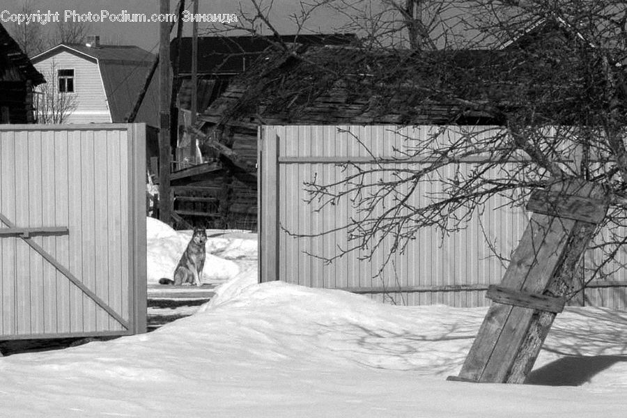 Alley, Alleyway, Road, Street, Town, Ice, Outdoors