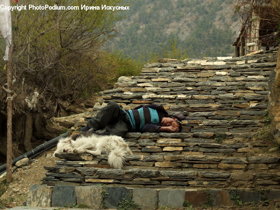 Rock, Building, Hut, Shelter, Outdoors
