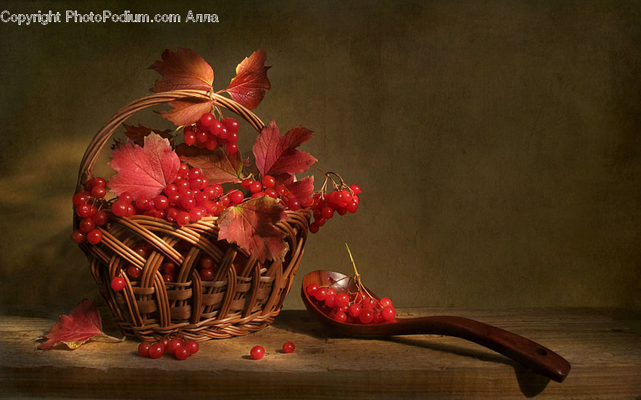 Plant, Potted Plant, Basket, Flower, Flower Arrangement, Flower Bouquet, Ikebana