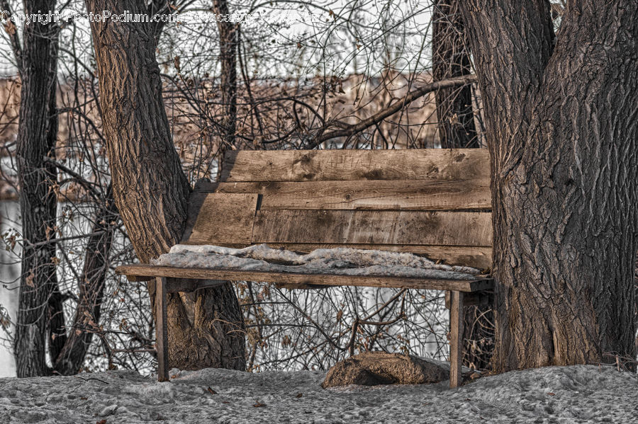 Park Bench, Bench, Cabin, Hut, Rural, Shack, Shelter