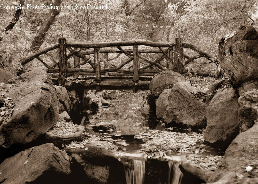 Rock, Creek, Outdoors, River, Water, Rubble, Forest