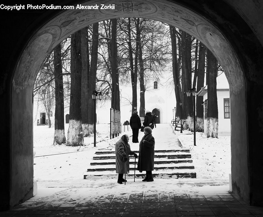 Arch, Arched
