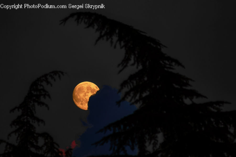 People, Person, Human, Astronomy, Moon, Night, Outdoors