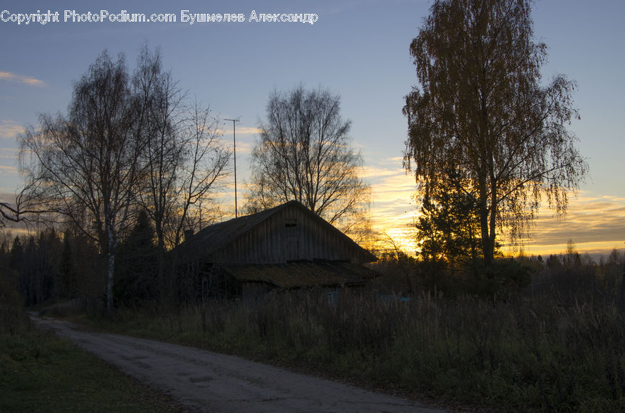 Dirt Road, Gravel, Road, Building, Cottage, Housing, Cabin