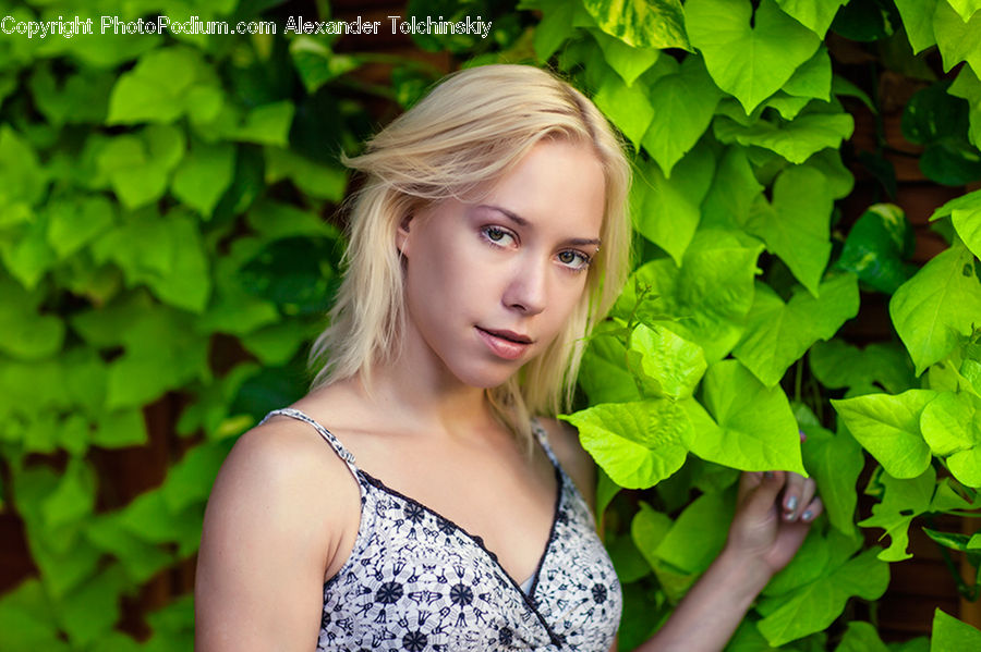 People, Person, Human, Blonde, Female, Woman, Portrait