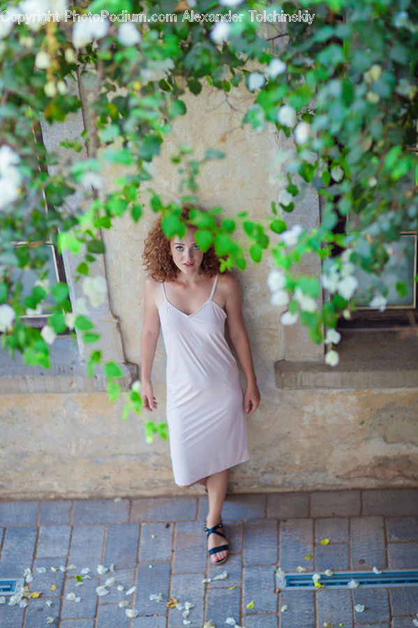 People, Person, Human, Ivy, Plant, Vine, Potted Plant