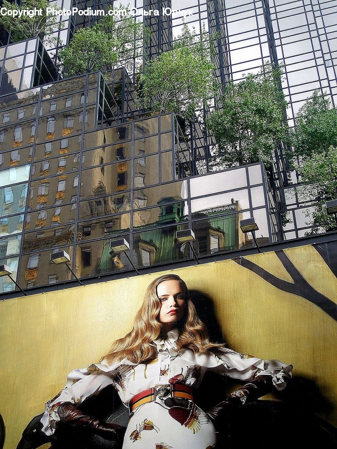 Plant, Potted Plant, Architecture, Housing, Skylight, Window, Costume