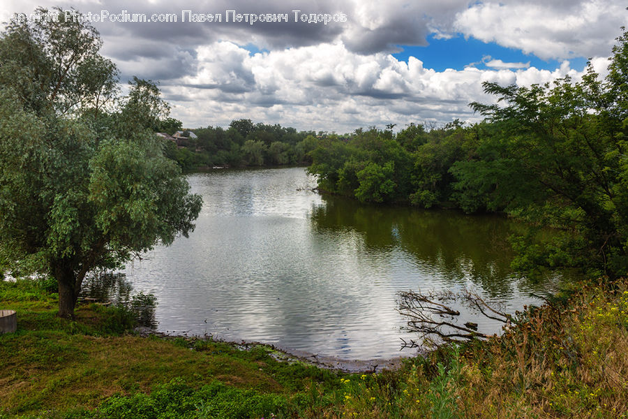 Lake, Outdoors, Water, Nature, River, Blossom, Flora