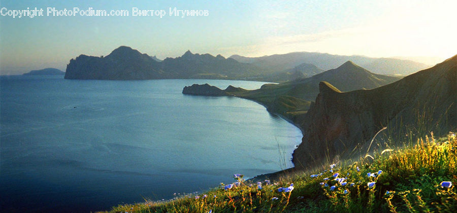 Fiber, Flax, Flora, Flower, Plant, Promontory, Coast