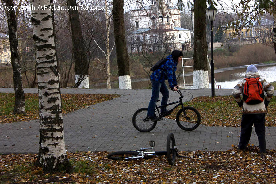 Human, People, Person, Bicycle, Bike, Vehicle, Tire