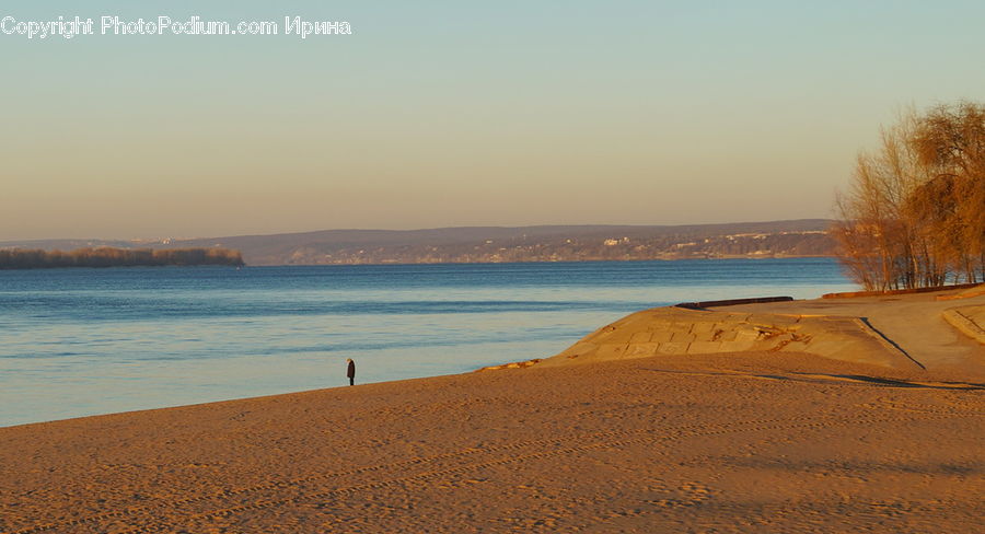 Beach, Coast, Outdoors, Sea, Water, Plant, Tree