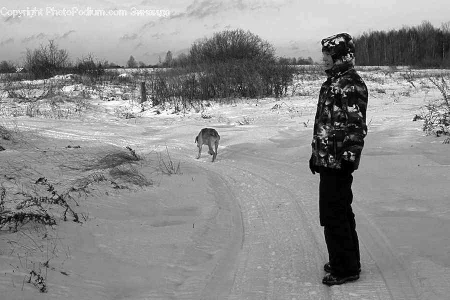People, Person, Human, Ice, Outdoors, Snow, Sand