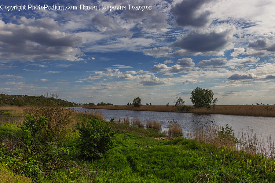 Field, Grass, Grassland, Land, Outdoors, Landscape, Nature