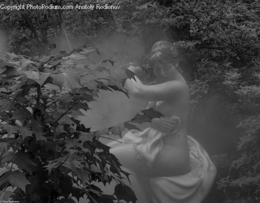 People, Person, Human, Plant, Ivy, Vine, Flower