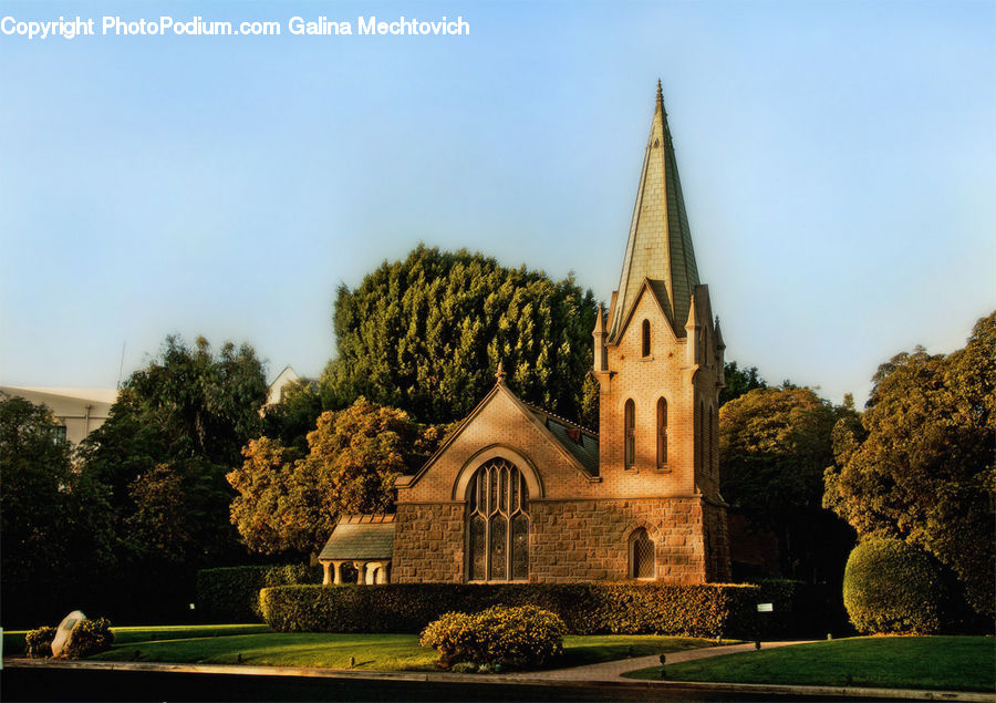 Architecture, Church, Worship, Fence, Hedge, Plant, Tree