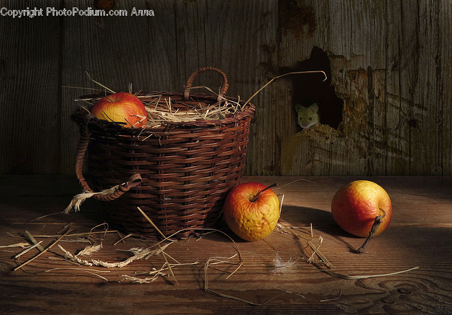 Apple, Fruit, Animal, Mammal, Rodent, Squirrel, Onion