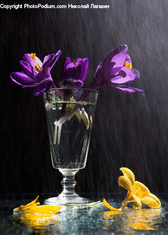 Glass, Goblet, Floral Design, Flower, Flower Arrangement, Flower Bouquet, Ikebana