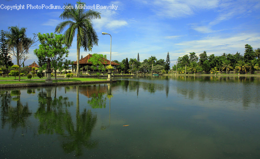 Flood, Hotel, Resort, Plant, Tree, Outdoors, Pond